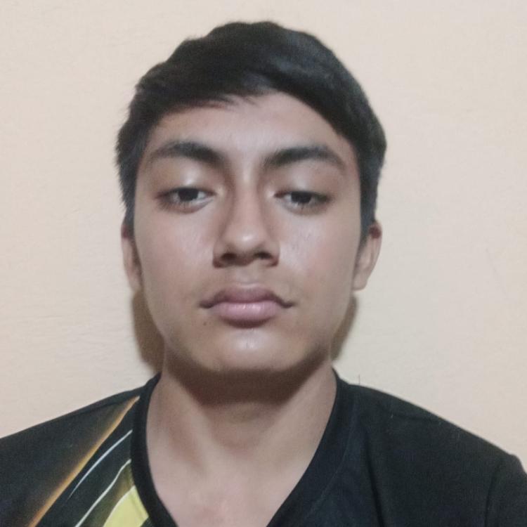 User Image