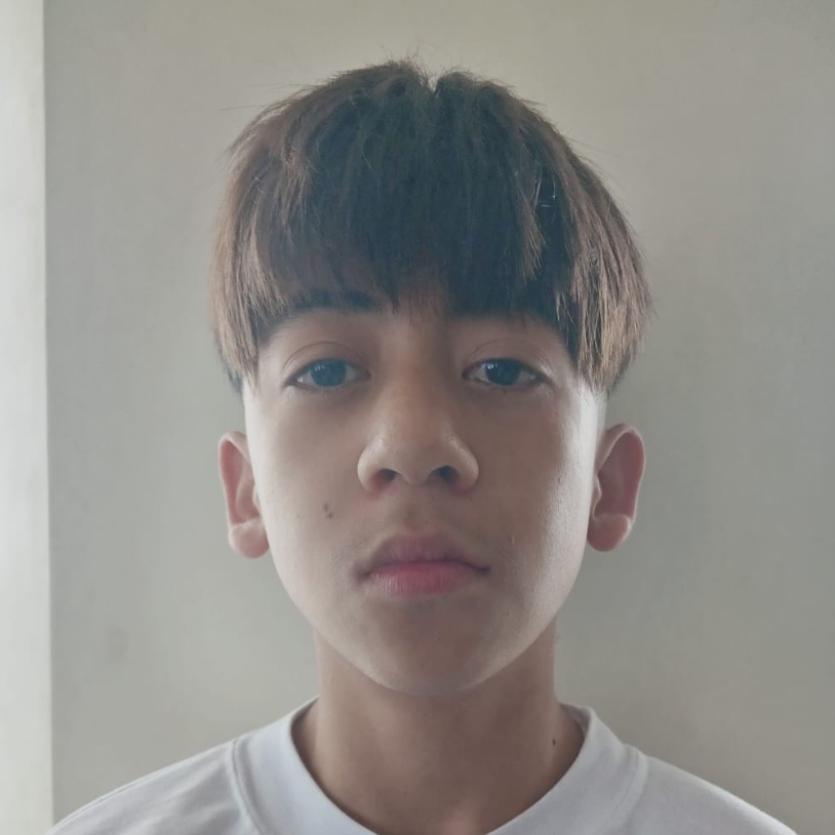 User Image