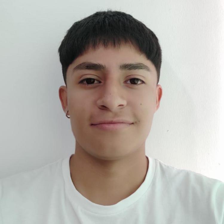 User Image
