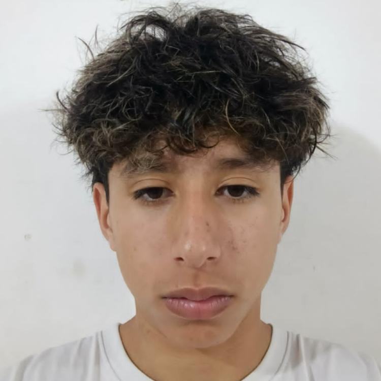 User Image